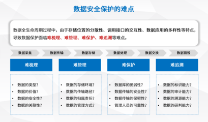 數(shù)據(jù)流轉(zhuǎn)新守護(hù) 盛邦安全發(fā)布全生命周期安全服務(wù)